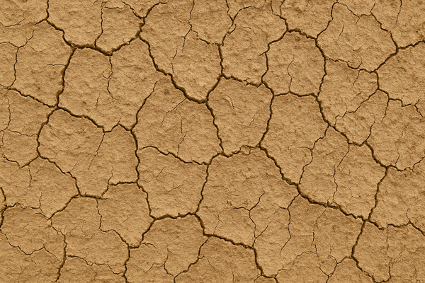 Dry, cracked earth surface
