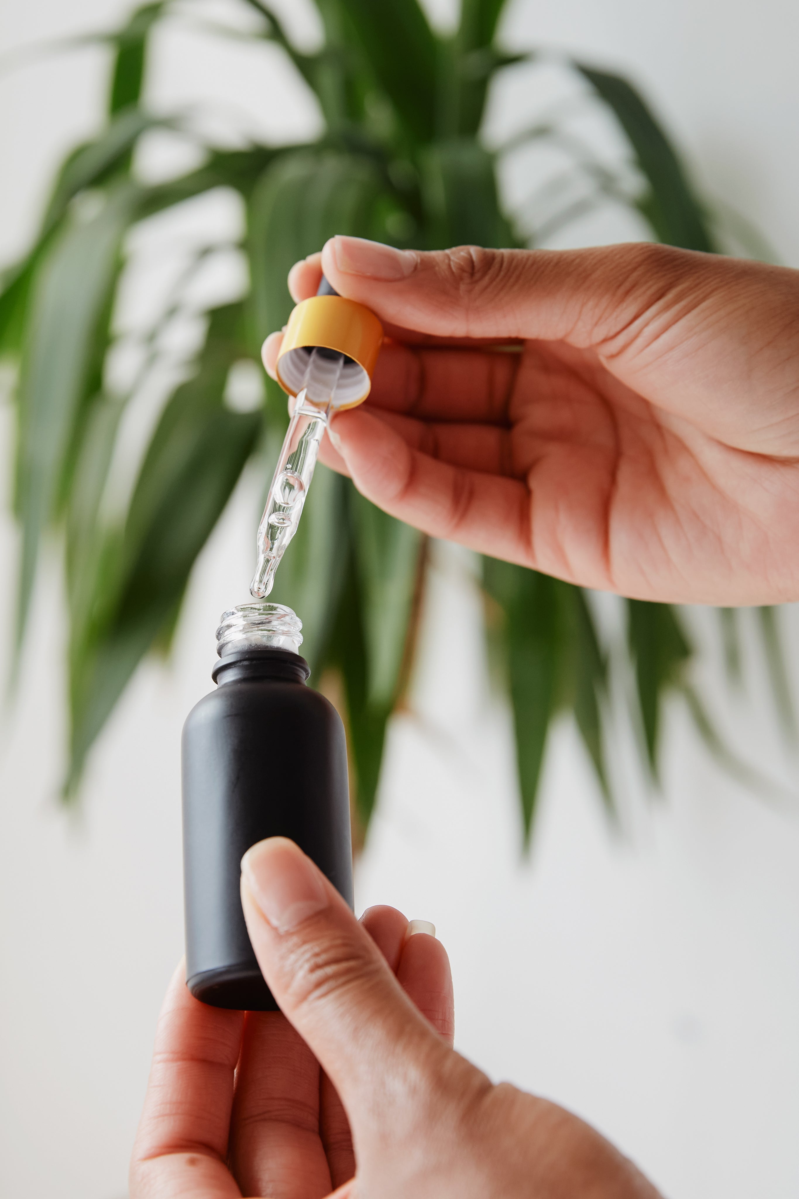 “Hands holding a serum dropper above a matte black skincare bottle with a clear liquid.”
